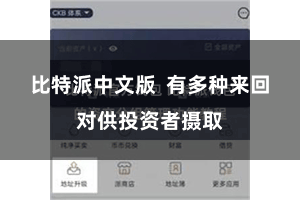 比特派中文版 有多种来回对供投资者摄取