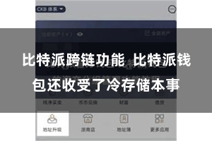比特派跨链功能  比特派钱包还收受了冷存储本事