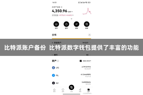 比特派账户备份  比特派数字钱包提供了丰富的功能